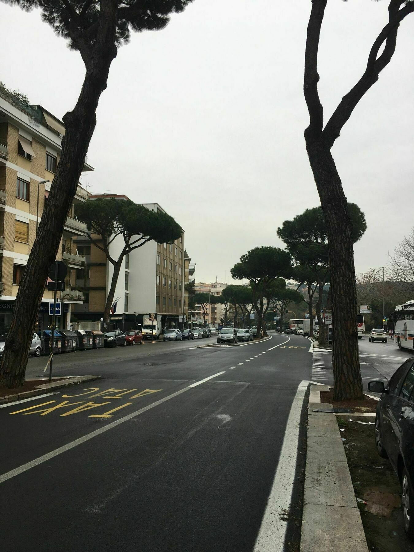 Domum Vaticani Roma Exterior foto
